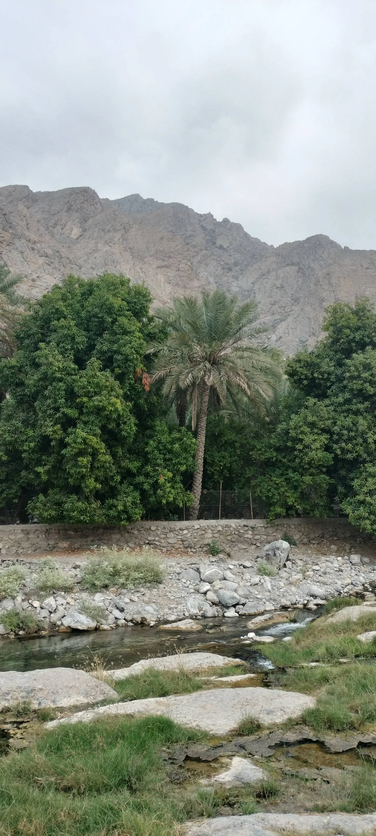 Day Tour to Nakhal