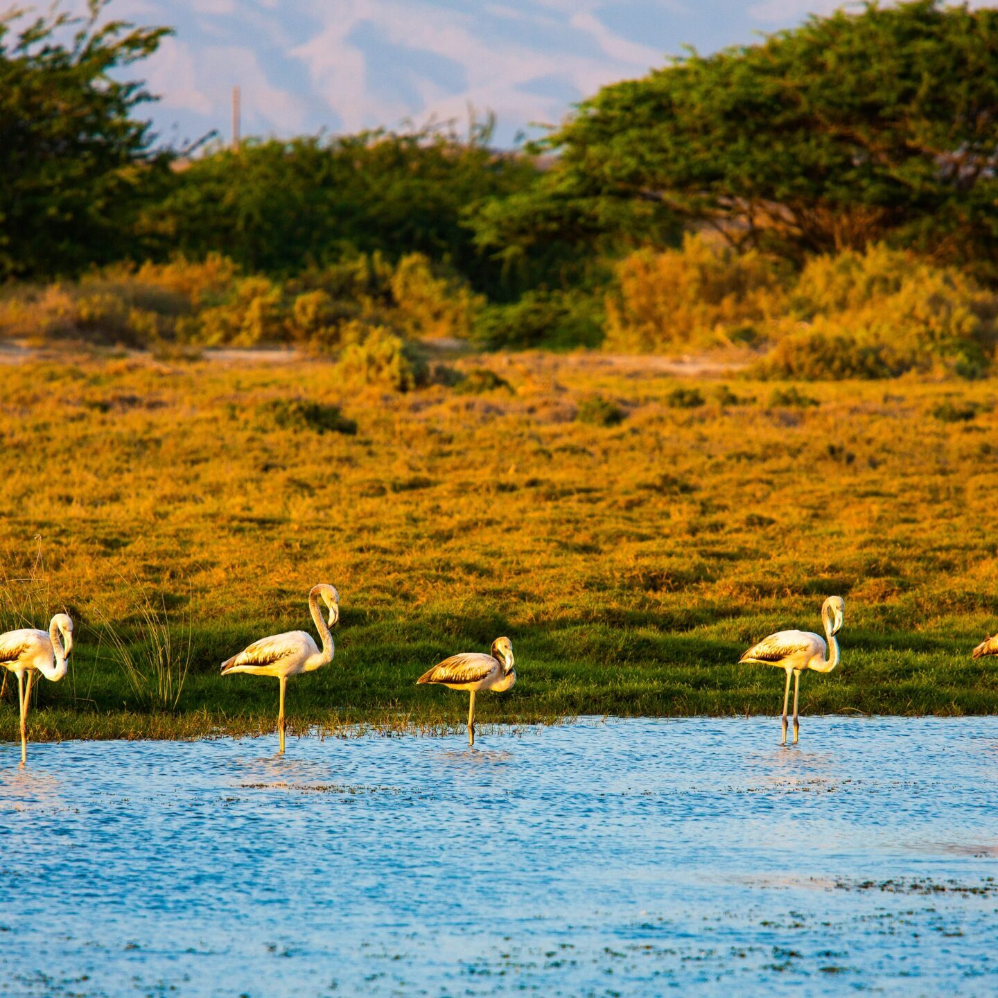 East Salalah Tour (Half Day)