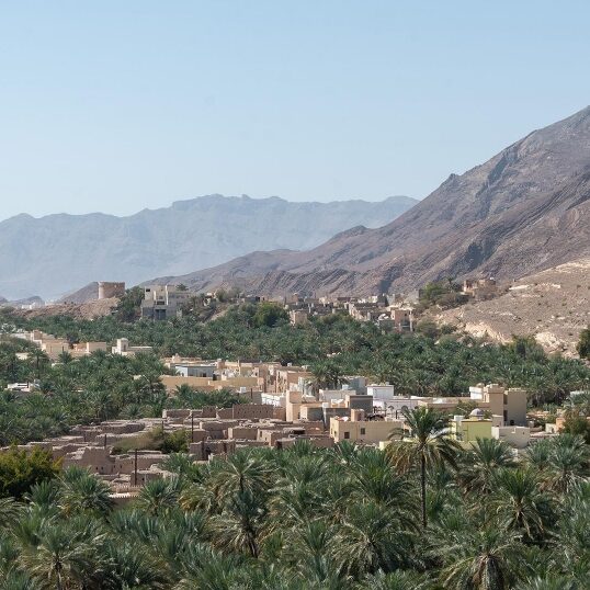 Jabal Akdar, Desert & Turtles