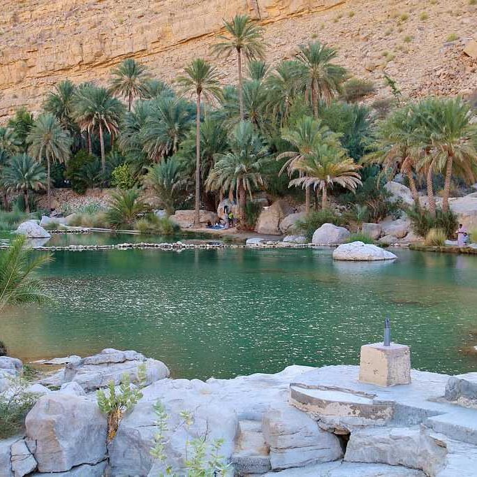 Wadi Bani Khalid - Wahiba Desert (Full Day)